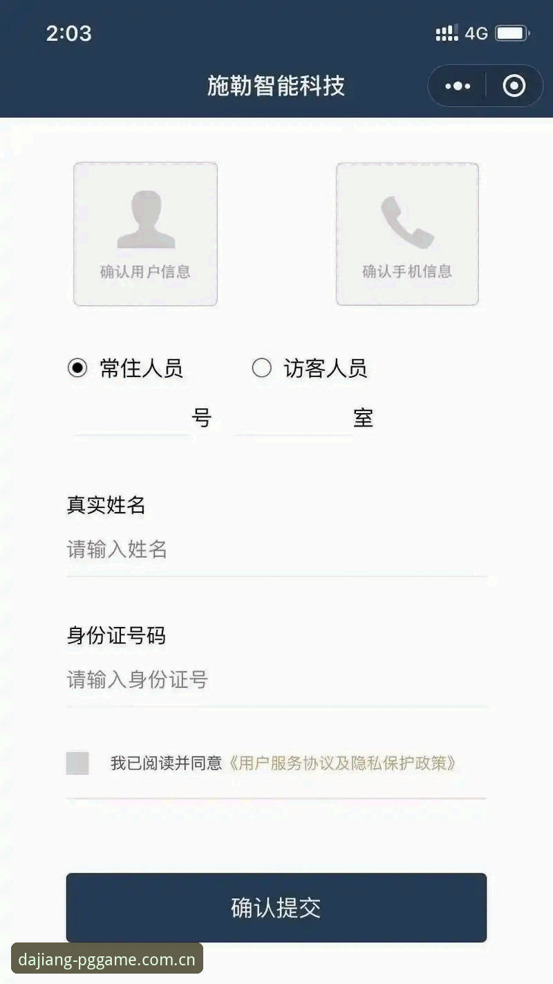 官方版与替代版APP的体验差异，真如传闻中那样明显吗？